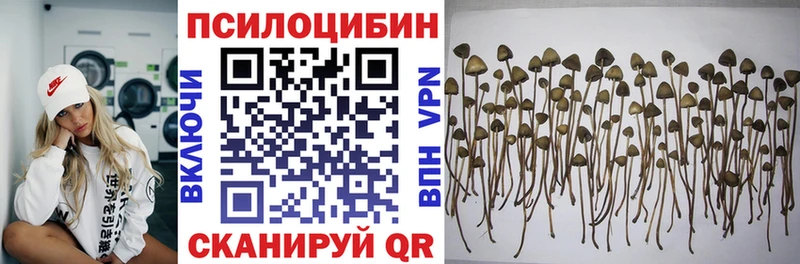 Псилоцибиновые грибы Psilocybe  Астрахань 