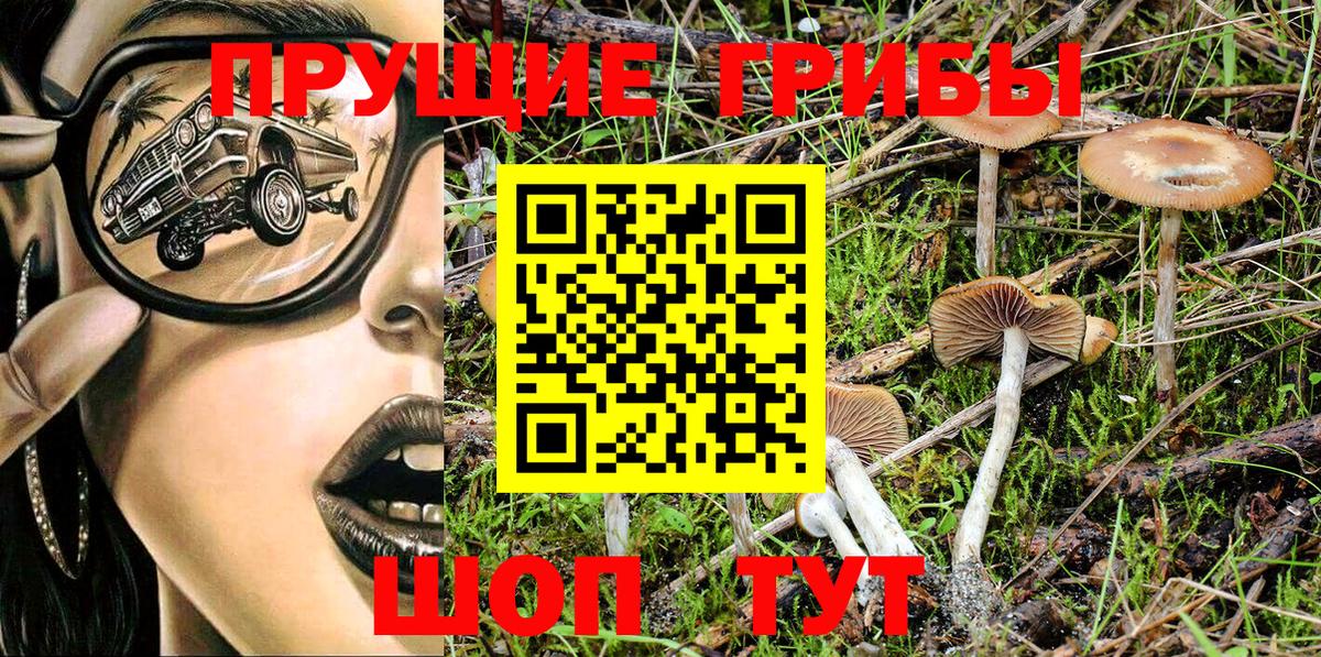 Псилоцибиновые грибы Cubensis  Астрахань 