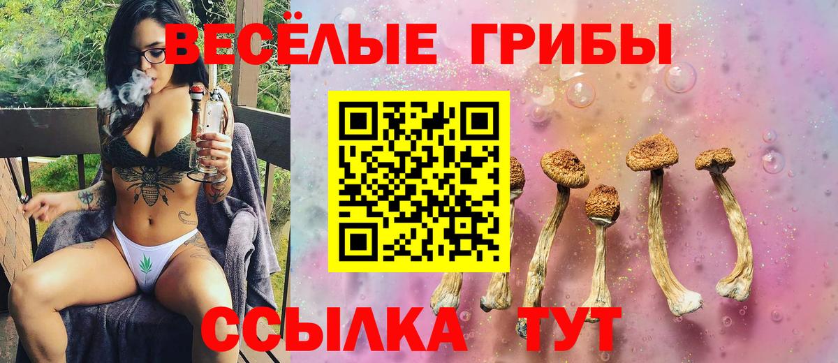 Псилоцибиновые грибы GOLDEN TEACHER  Вход с VPN  Астрахань 